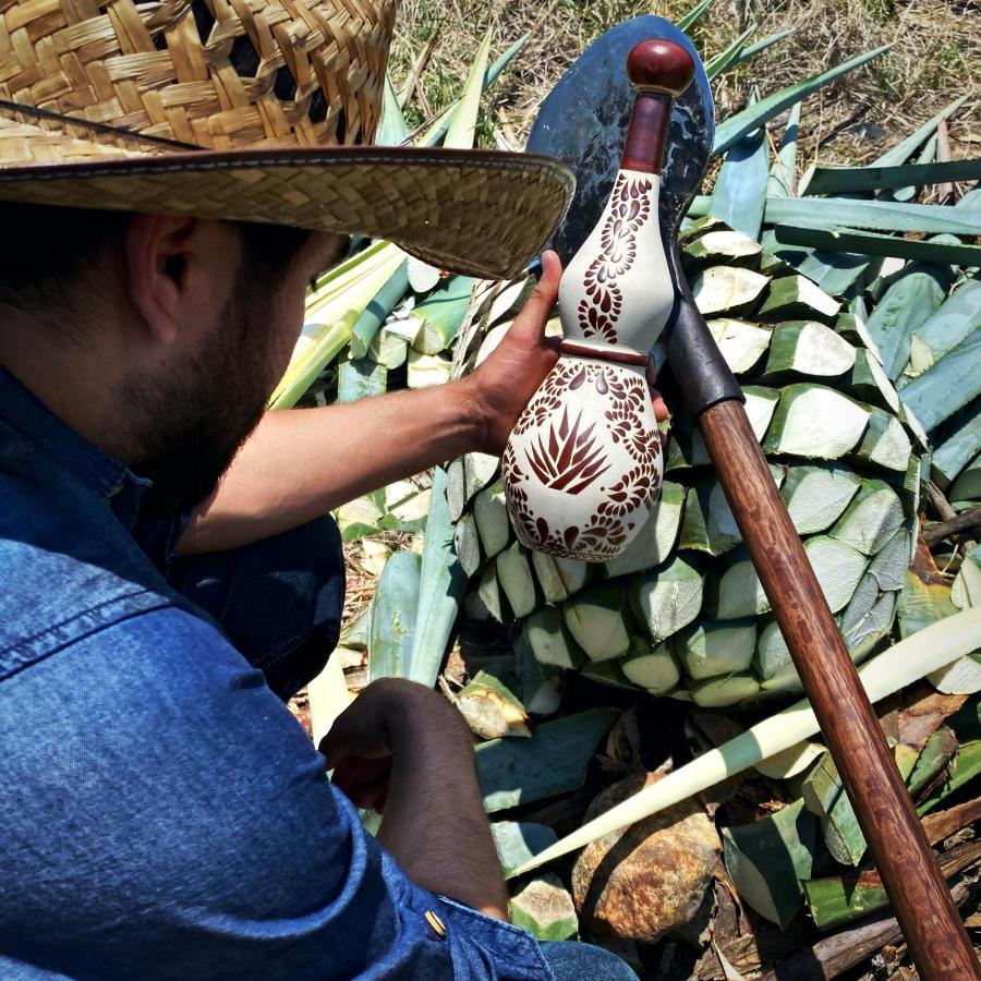 Matices De Barricas Hotel Tequila