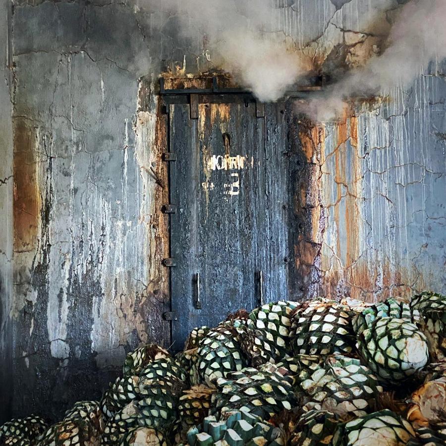 Matices De Barricas Hotel Tequila